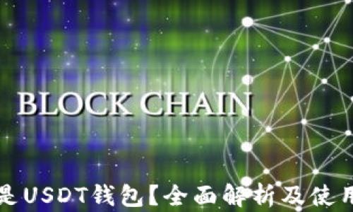 
什么是USDT钱包？全面解析及使用指南
