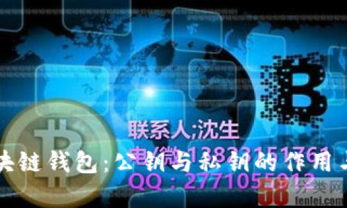 全面解读区块链钱包：公钥与私钥的作用与安全性分析