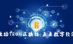 深入探索波场TRON区块链：未来数字经济的新基石