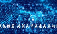 区块链钱包推荐：为何天下互通是您的理想选择