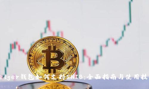 Ledger钱包如何支持SHIB：全面指南与使用技巧