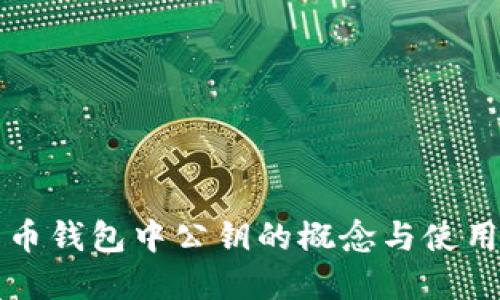 比特币钱包中公钥的概念与使用详解