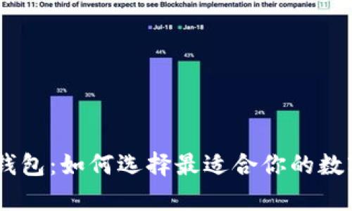 全球通用USDT钱包：如何选择最适合你的数字资产存储方案