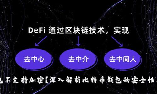 比特币钱包不支持加密？深入解析比特币钱包的安全性与管理方法