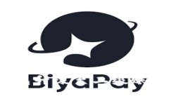 如何成功将建行数字钱包升级至二级账户？详解