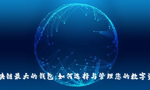区块链最大的钱包：如何选择与管理您的数字资产