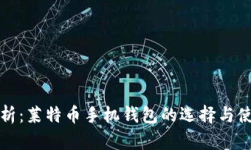 全面分析：莱特币手机钱包的选择与使用指南