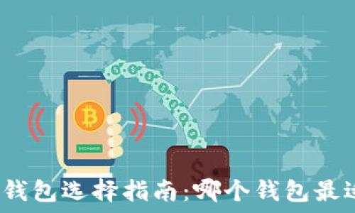  
比特币钱包选择指南：哪个钱包最适合你？