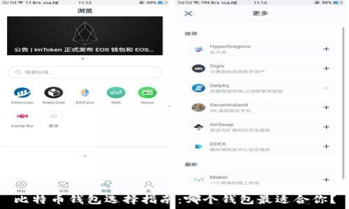  
比特币钱包选择指南：哪个钱包最适合你？