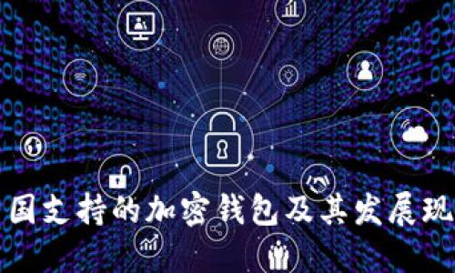 中国支持的加密钱包及其发展现状